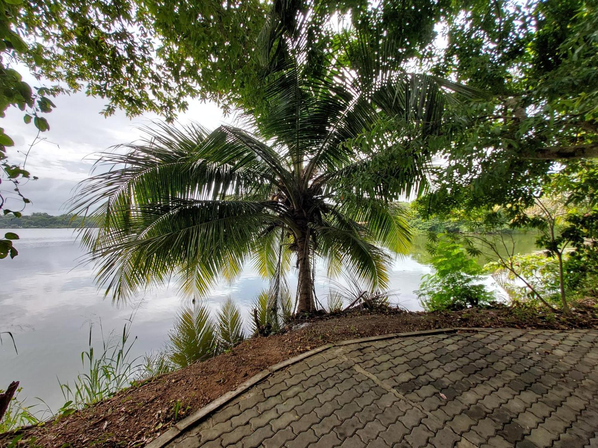 Lake Wave Hotel Anuradhapura Ngoại thất bức ảnh
